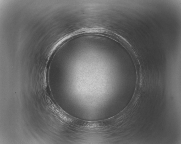 X0000085741174200703301420