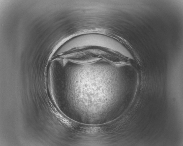 X0000085741184200703301420