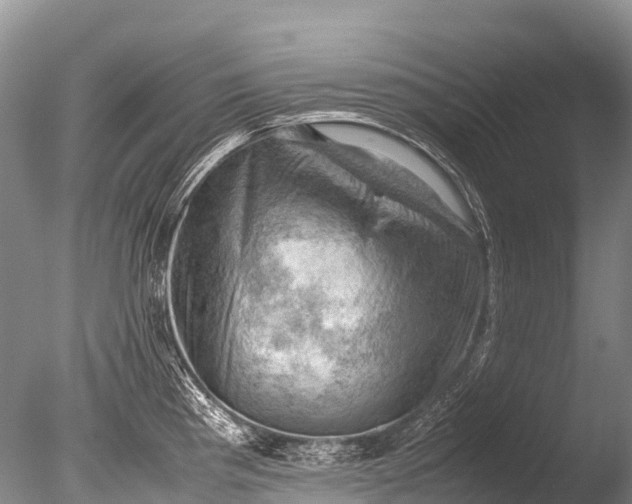 X0000085741193200703301420