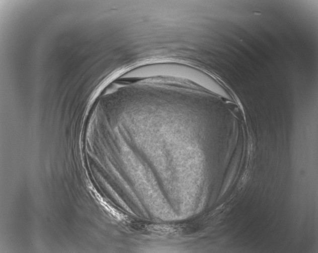 X0000085741197200703301420