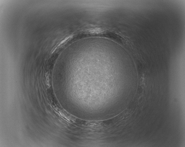 X0000085741205200703301419