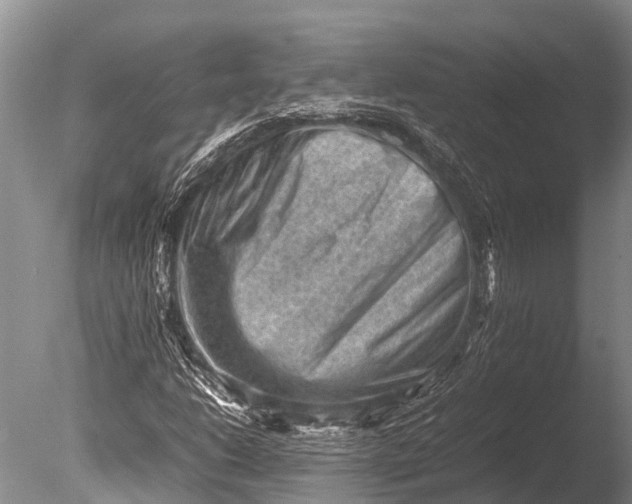 X0000085741206200703301419