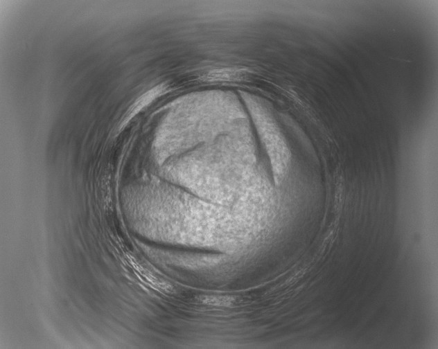 X0000085741211200703301419