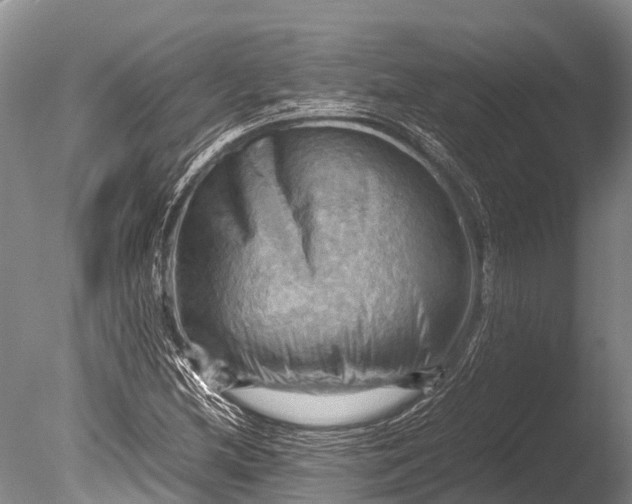 X0000085741212200703301419