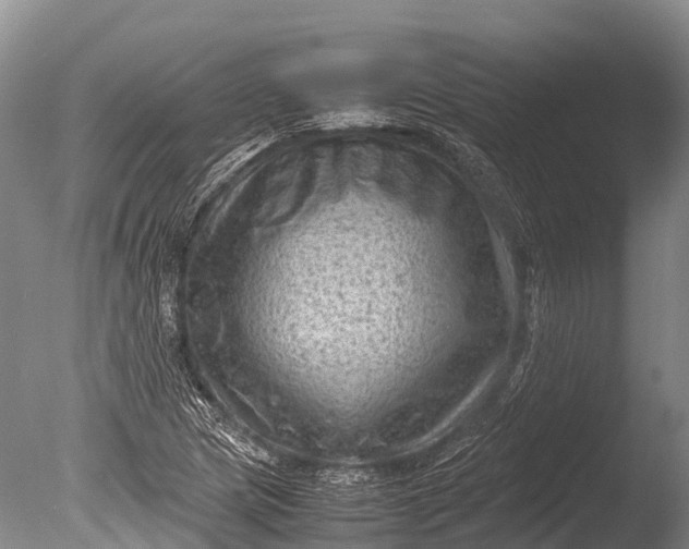 X0000085741217200703301419