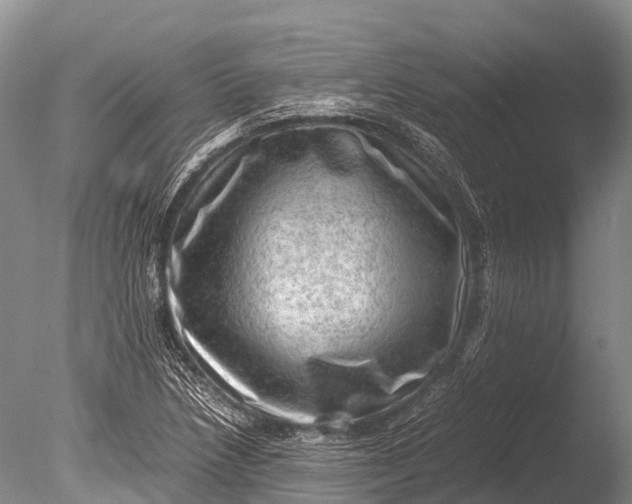 X0000085741218200703301419