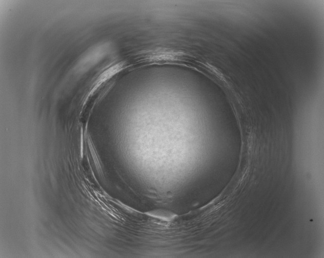 X0000085741219200703301419