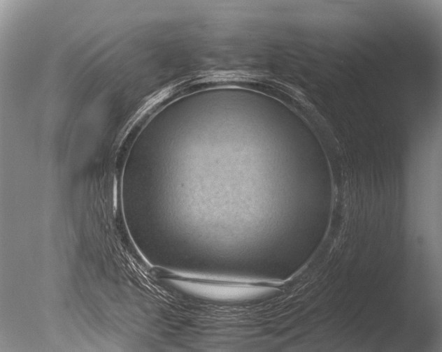 X0000085741221200703301419