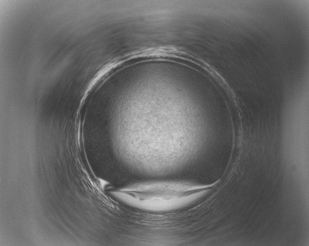 X0000085741224200703301419