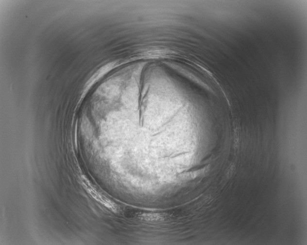 X0000085741227200703301419