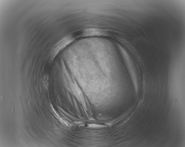 X0000085741233200703301419