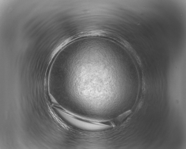 X0000085741234200703301419