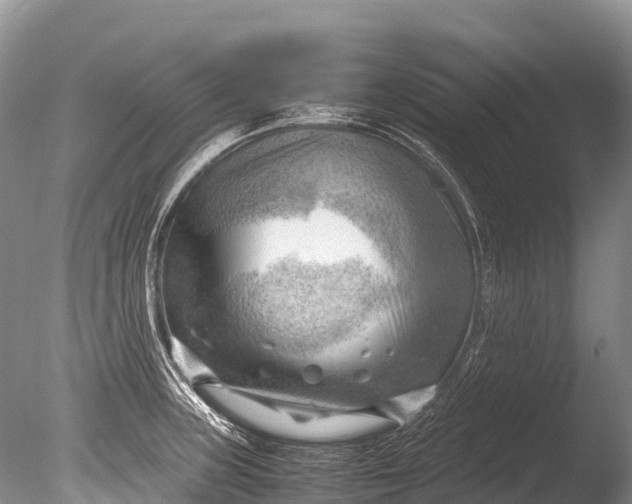 X0000085741235200703301419