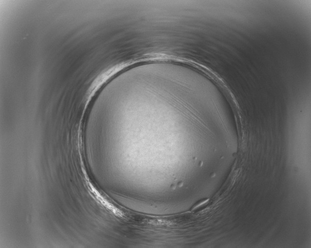 X0000085741239200703301419