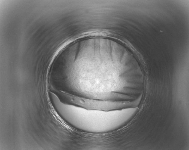 X0000085741240200703301419