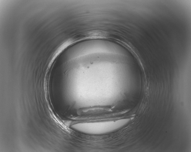 X0000085741243200703301420