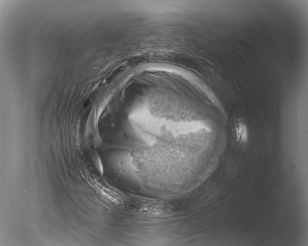 X0000085741252200703301419