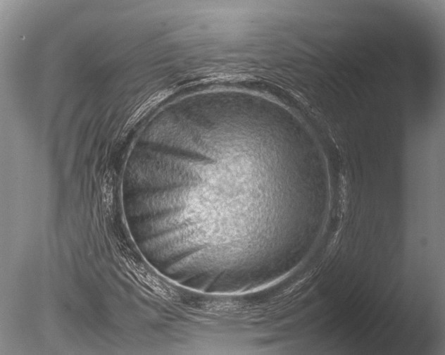 X0000085741257200703301419