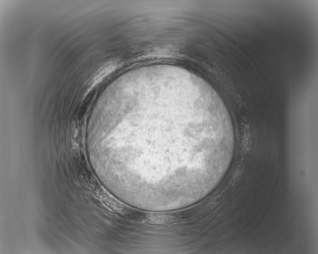 X0000085741258200703301419