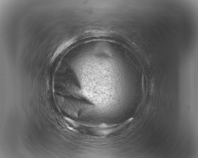 X0000085741261200703301419