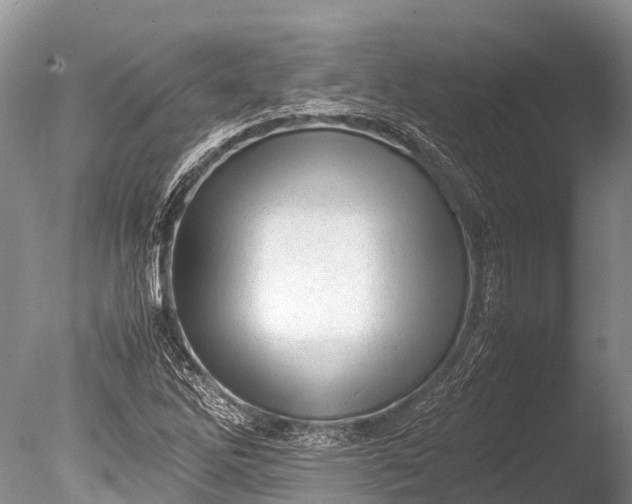 X0000085741262200703301419