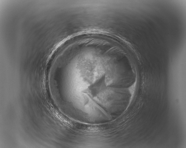 X0000085741264200703301419