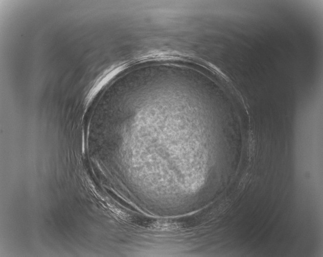 X0000085741269200703301418