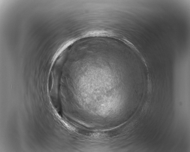 X0000085741277200703301418