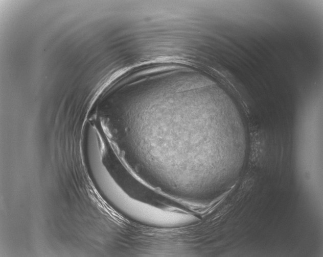 X0000085741284200703301418