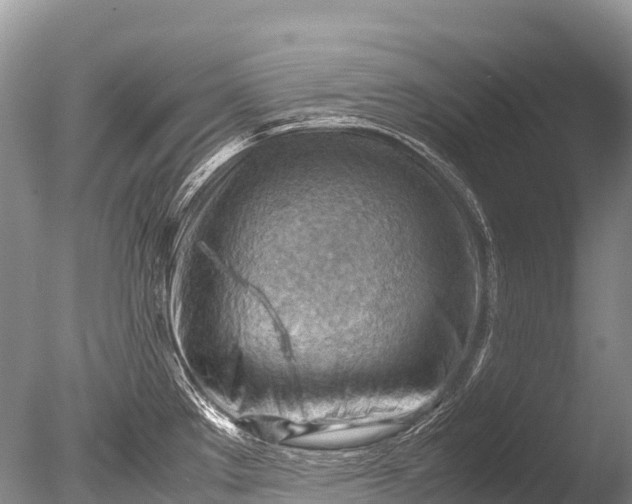 X0000085741289200703301418