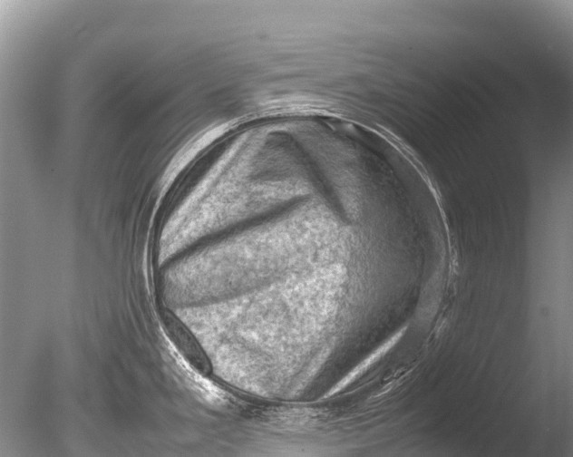 X0000085741293200703301418