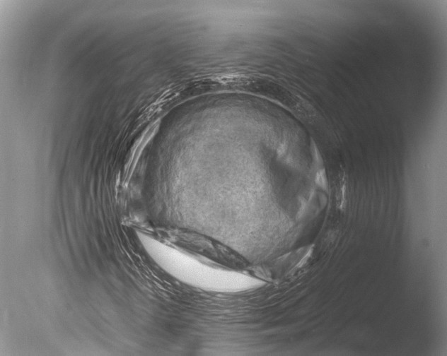 X0000085741298200703301417