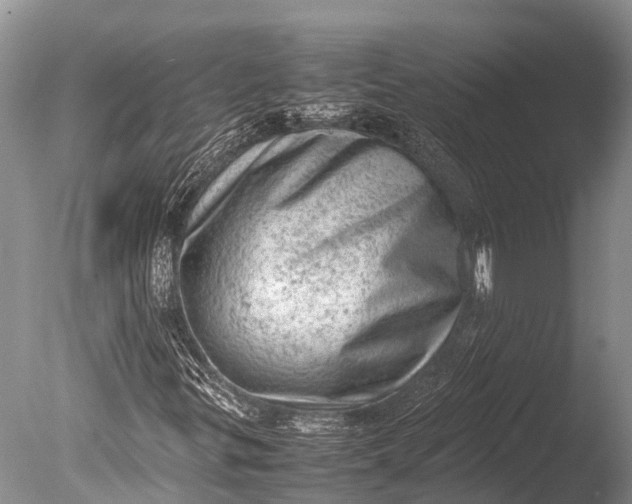 X0000085741299200703301417