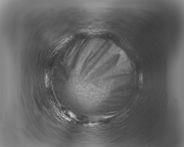 X0000085741300200703301417