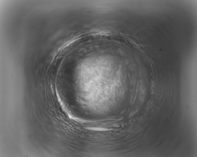 X0000085741303200703301417