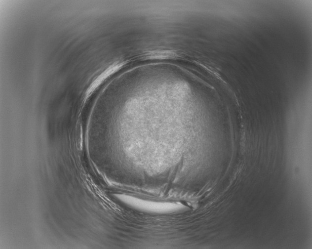 X0000085741317200703301417