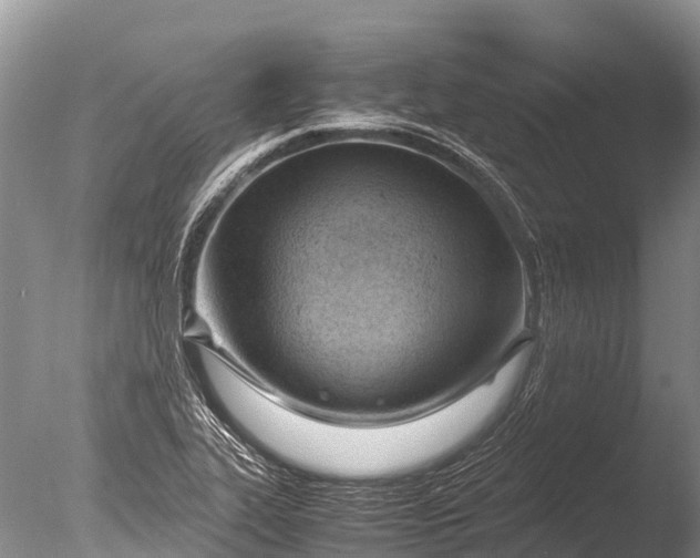 X0000085741319200703301418