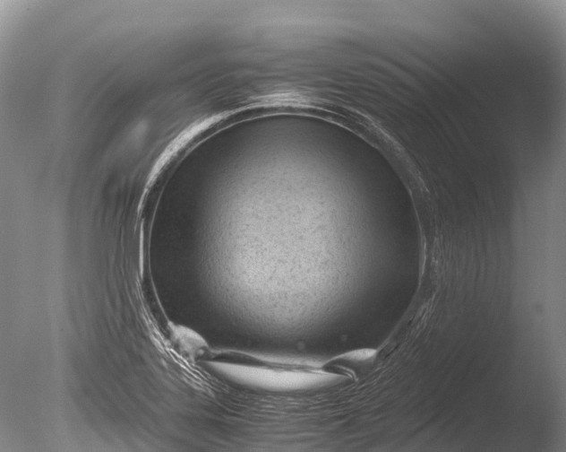 X0000085741323200703301418