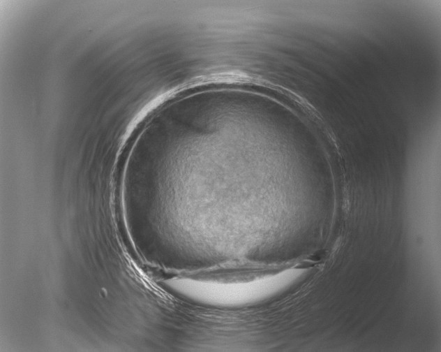 X0000085741326200703301418