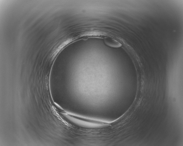 X0000085741329200703301418