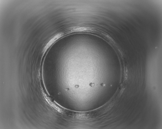 X0000085741330200703301418
