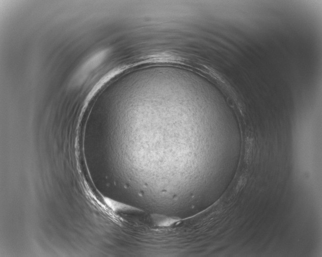 X0000085741331200703301418
