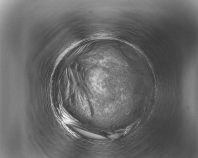 X0000085741333200703301418