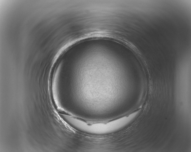 X0000085741334200703301418