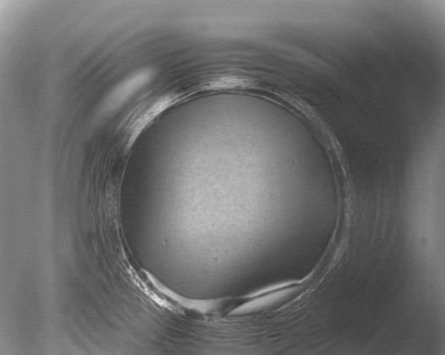 X0000085741337200703301418