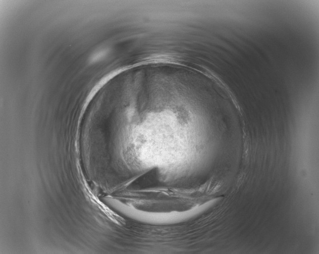 X0000085741339200703301418