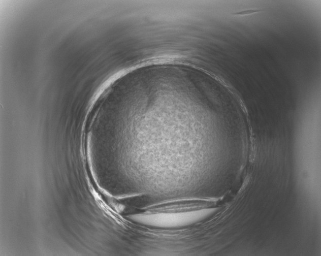 X0000085741342200703301418