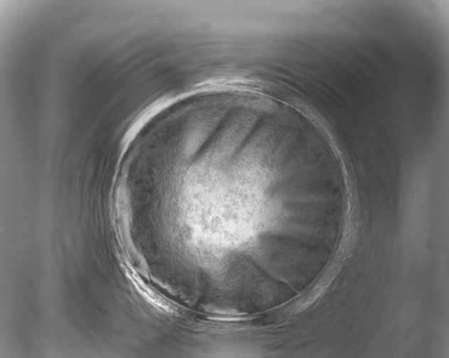 X0000085741344200703301418