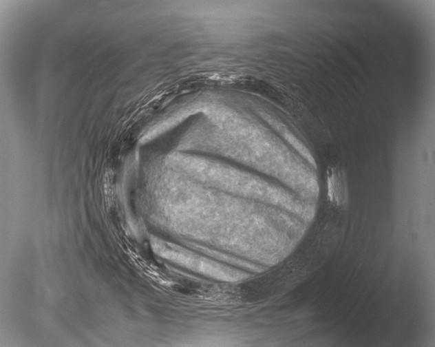 X0000085741347200703301417