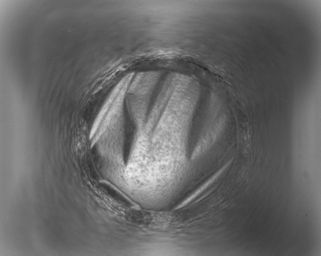 X0000085741349200703301417